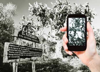 Similar image 7827894