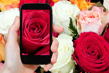 Similar image 7827907