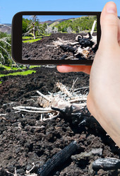 Similar image 7827960