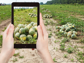 Similar image 7827973