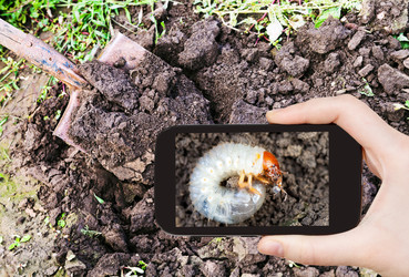 Similar image 7828001