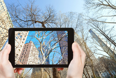 Similar image 7828093