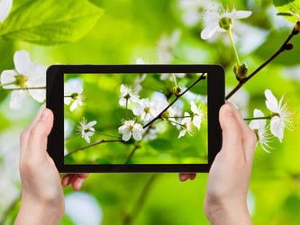 Similar image 7828181