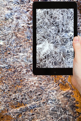 Similar image 7828202