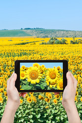 Similar image 7828220