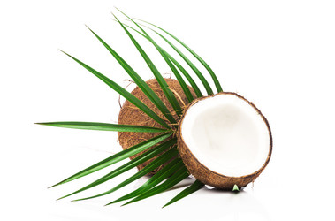 Similar image 7828247