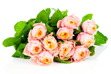 Similar image 7828266