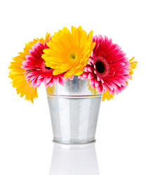 Similar image 7828267