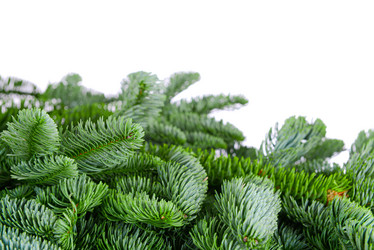 Similar image 7828268