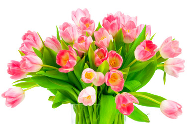 Similar image 7828271