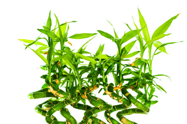 Similar image 7828279