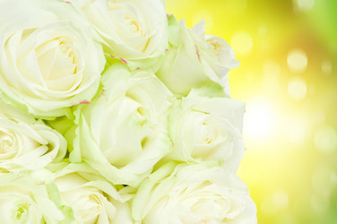 Similar image 7828302