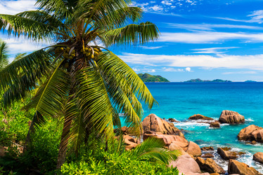 Similar image 7828303