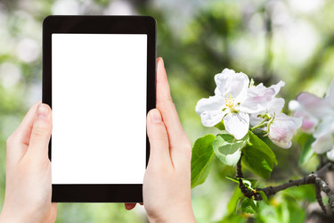 Similar image 7828461