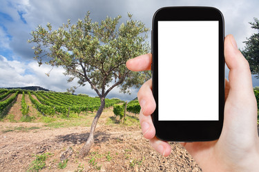 Similar image 7828530