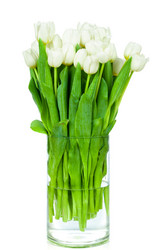 Similar image 7828624