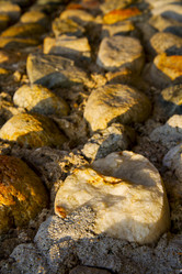 Similar image 7828632