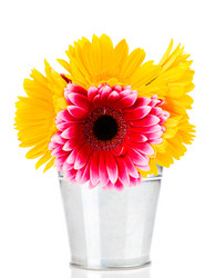 Similar image 7828737