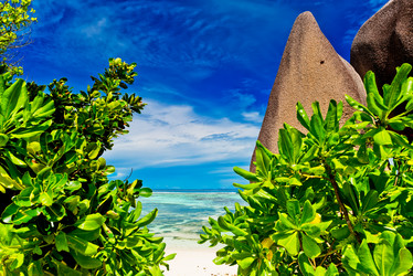 Similar image 7828738