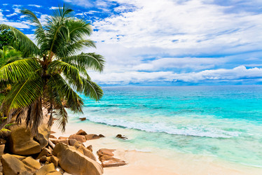 Similar image 7828742