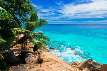 Similar image 7828746