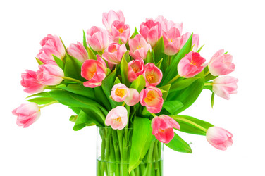 Similar image 7828747