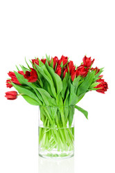 Similar image 7828751