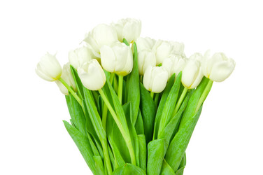 Similar image 7828758