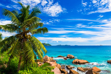 Similar image 7828782