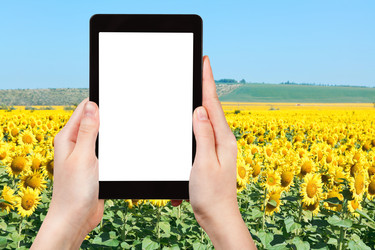 Similar image 7828819