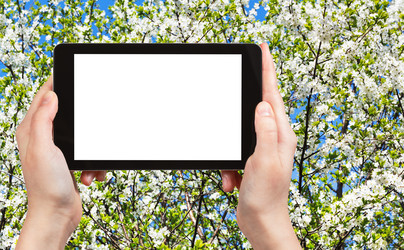 Similar image 7828820