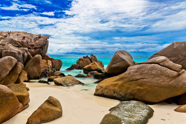 Similar image 7828865