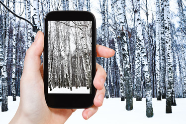 Similar image 7828943