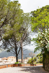 Similar image 7829017