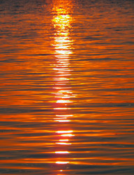 Similar image 7829125