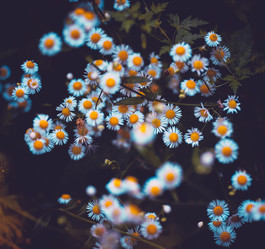 Similar image 7829247