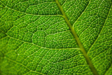 Similar image 7829248