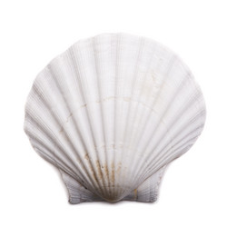 Similar image 7829270