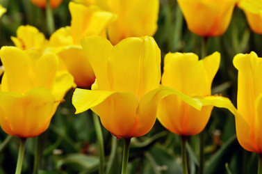 Similar image 7829298