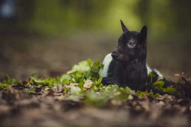 Similar image 7829331