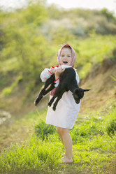 Similar image 7829336