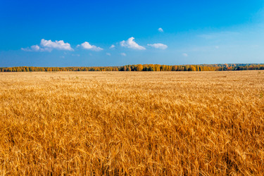 Similar image 7829389