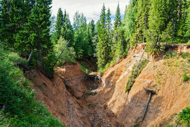 Similar image 7829394