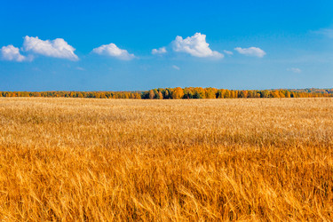 Similar image 7829397