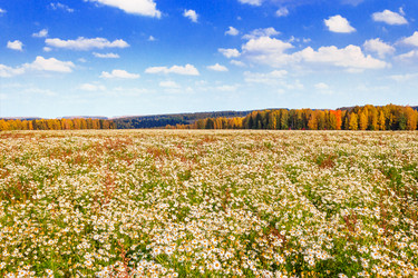 Similar image 7829398