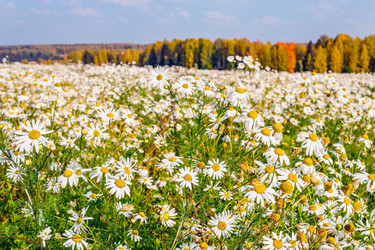 Similar image 7829414