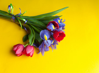 Similar image 7829645