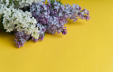 Similar image 7829656