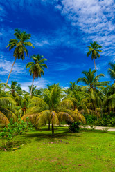 Similar image 7829674