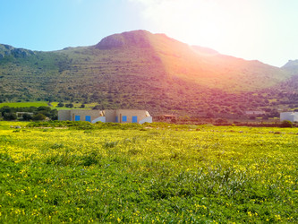 Similar image 7829723